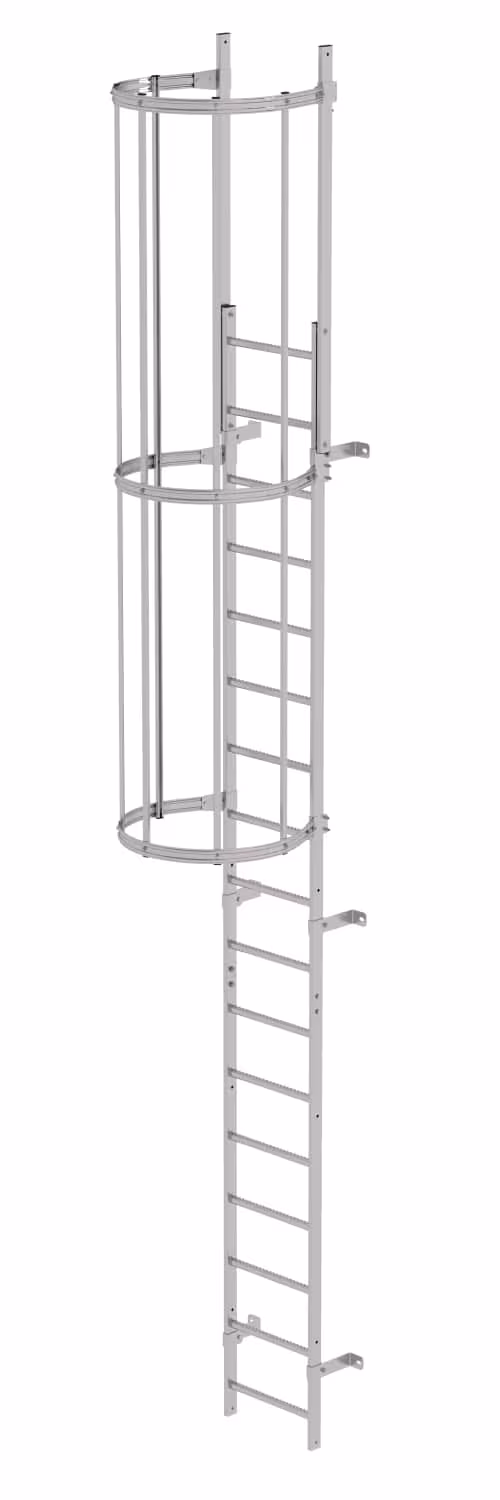 Munk eendelige vaste ladder met RVS rugbescherming, vaste ladders