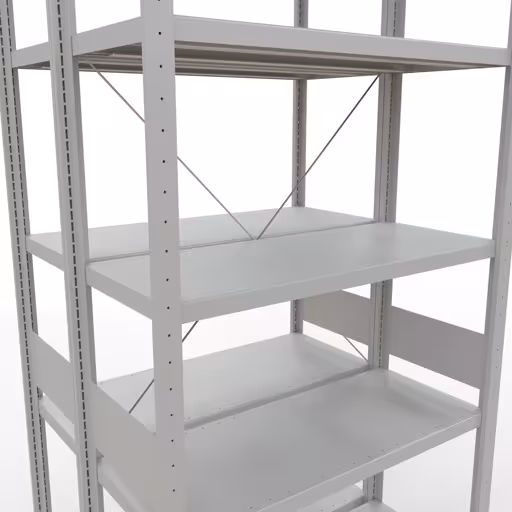 Basisplank, dubbele plank, stellingsysteem MULTIplus250, 3000 x 1000 x (2x400) mm (HxBxD), 2x7 planken, kruisschoor, RAL 7035 lichtgrijs met artikelnr. 32142-G Basisplank, dubbele plank, rekkensysteem MULTIplus250, 3000 x 1000 x (2x400) mm, 2x7 planken, kruisschoor, RAL 7035 lichtgrijs van Schulte Lagertechnik uit de categorie rekken