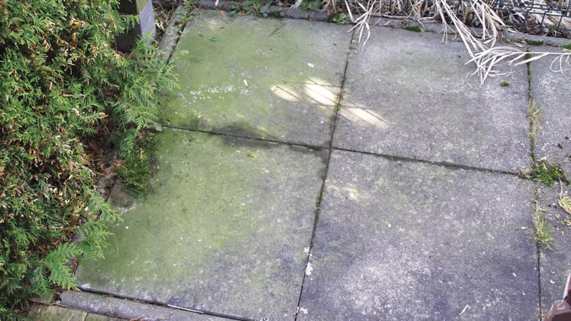 TecLine groene folieverwijderaar -concentraat- 30 l bus Schiefer, Pfad, Gehweg, Bürgersteig, Steinplatte