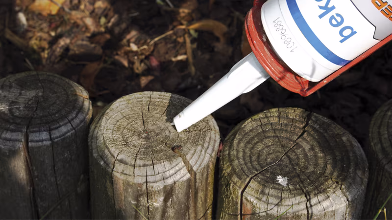 TERRASYS verzegeling voor kopse kanten en randen 310 ml transparant Pflanze, Baum, Holz, Baumstumpf