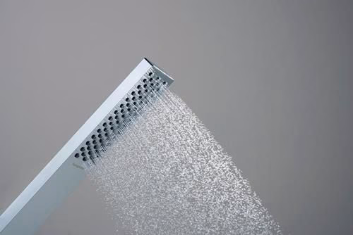 Detailbild 3968577 Hansgrohe handdouche Pulsify E 1 straal chroom