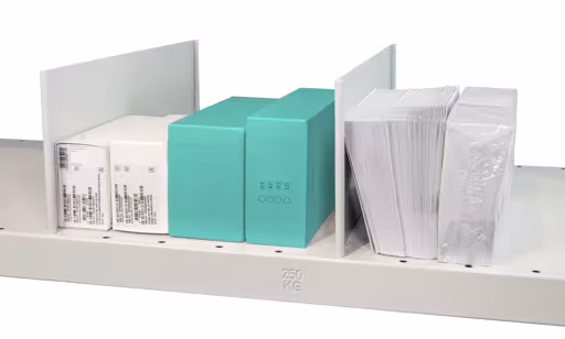 Vrijstaande uitneembare scheidingsplaat, 500 x 140 mm (D x H), RAL 7035 lichtgrijs voor MULTIplus250 en MULTIplus330 planken van Schulte Lagertechnik uit het rekkenassortiment
