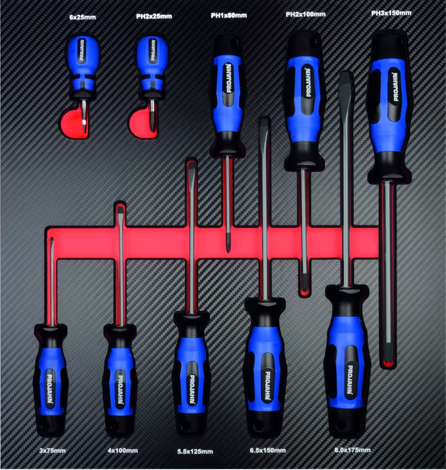 Inzetschroevendraaier voor 10 kruiskopschroeven PH en gleufschroeven leeg of gevuld, organisatiesystemen & werkplaatswagens