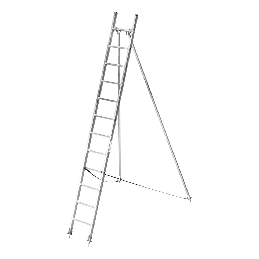 Munk fruitboomladder, 12 sporten, van Günzburger Steigtechnik Munk boomgaardladder uit de categorie speciale ladders, professionele producten met artikelnummer 010032
