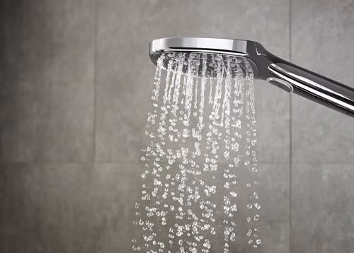 Handdouche RAINDANCE SELECT E 120 3 straals DN 15 EcoSmart chroom