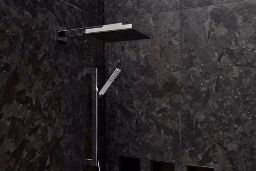 Detailbild 3968585 Hansgrohe handdouche Pulsify E 1 straal chroom