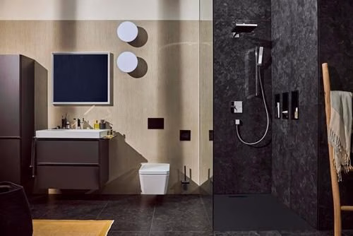 Detailbild 3968576 Hansgrohe handdouche Pulsify E 1 straal chroom