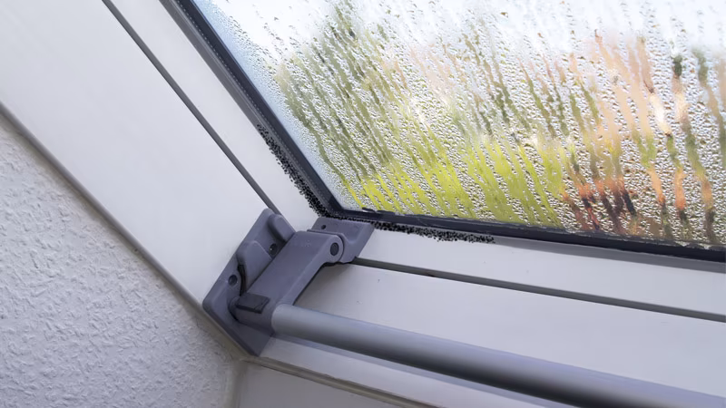 TecLine schimmelverwijderaar 500 ml fles, incl. sproeikop Fenster, Fensterbank