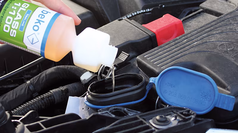 TecLine GLASS 1:100 ruitenreiniger, concentraat 250 ml Reinigen, Person, Maschine