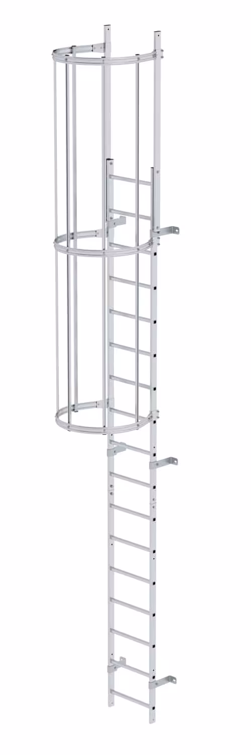 Munk eendelige vaste ladder met rugbescherming, blank aluminium, vaste ladders