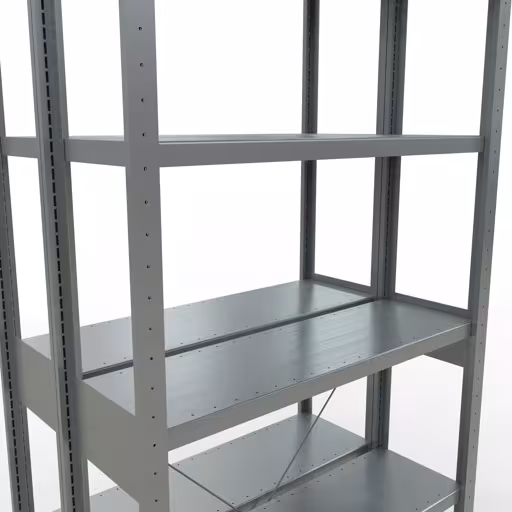 Basisplank, dubbele plank, stellingsysteem MULTIplus250, 2500 x 1000 x (2x300) mm, 2x6 planken, kruisschoor, verzinkt met GTIN 4004514286048 Basisplank, dubbele plank, legplank-insteeksysteem MULTIplus250, 2500 x 1000 x (2x300) mm, 2x6 legborden, kruisschoor, verzinkt van Schulte Lagertechnik met het artikelnr. 14231-G