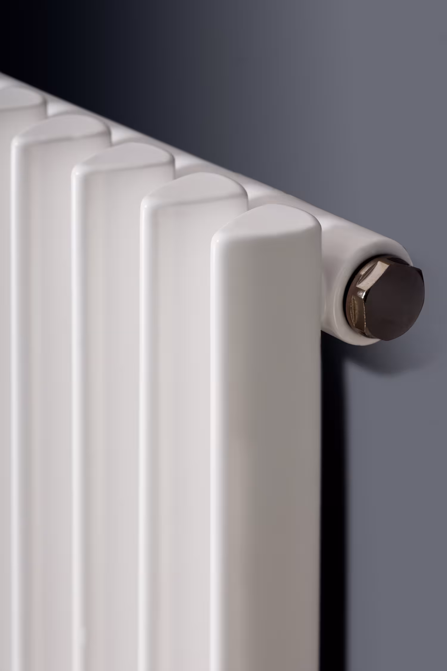Kamerradiator Triton middenaansluiting wit RAL 9003 van het merk Ximax uit de categorie kamerradiator