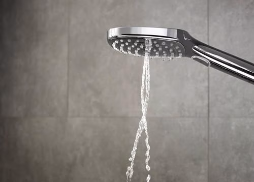 Handdouche RAINDANCE SELECT E 120 3 straals DN 15 EcoSmart chroom