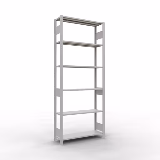 Basisplank, plankplank, insteeksysteem MULTIplus150, 2500 x 1000 x 300 mm, 6 planken, lengtestangen, RAL 7035 lichtgrijs van Schulte Lagertechnik met het artikelnr. 32631-LR
