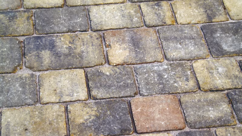 TecLine gewrichtsversterker 1 literfles Pfad, Straße, Kopfsteinpflaster, Fußboden, Gehweg