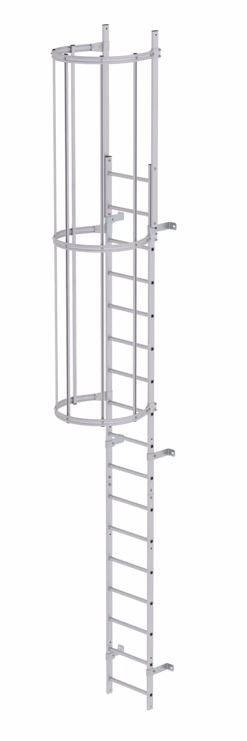 Munk enkeldelige ladder met rugbescherming geanodiseerd aluminium, klimladders