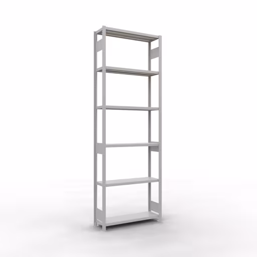 Figuur nr. 12 van het artikel basisplank, legplank, insteeksysteem MULTIplus250, 3000 x 1000 x 300 mm, 7 legborden, lengtestangen, RAL 7035 lichtgrijs uit de insteeksysteem productgroep van Schulte Lagertechnik.