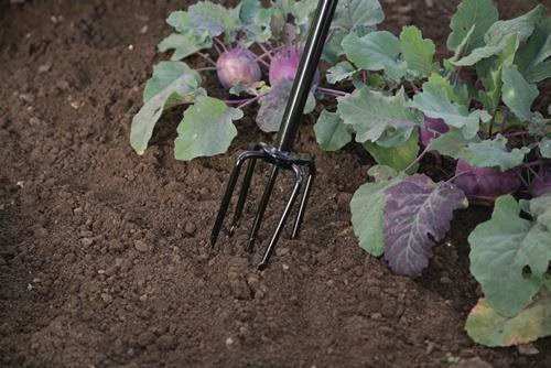 Detailbild 4016371 Kultivator 150mm 5 Zinken FREUND VICTORIA