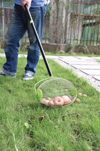 Detailbild 4068825 Nuss- und Obstsammler 68090 Breite 300mm mit teleskopierbarem Stiel FREUND VICTORIA