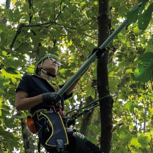 Teleskopstange ArboRapid Länge 1,45-3,80m BERGER