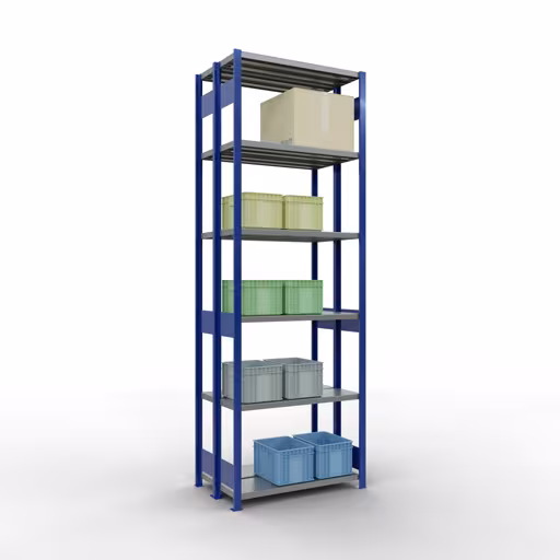 Basisplank, dubbele plank, stellingsysteem MULTIplus250, 3000 x 1000 x (2x300) mm, 2x7 planken, lengtestangen, RAL 5010 gentiaanblauw van Schulte Lagertechnik uit het rekkenprogramma