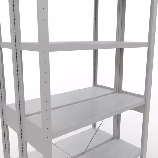 Basisplank, dubbele plank, plankinsteeksysteem MULTIplus250, 2500 x 1000 x (2x300) mm, 2x6 planken, kruisschoor, RAL 7035 lichtgrijs van Schulte Lagertechnik met het artikelnr. 32131-G