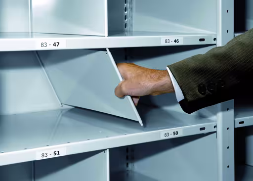 Insteekverdeler, 800 x 500 mm (D x H), RAL 7035 lichtgrijs voor MULTIplus250 en MULTIplus330 planken van Schulte Lagertechnik uit het rekkenassortiment