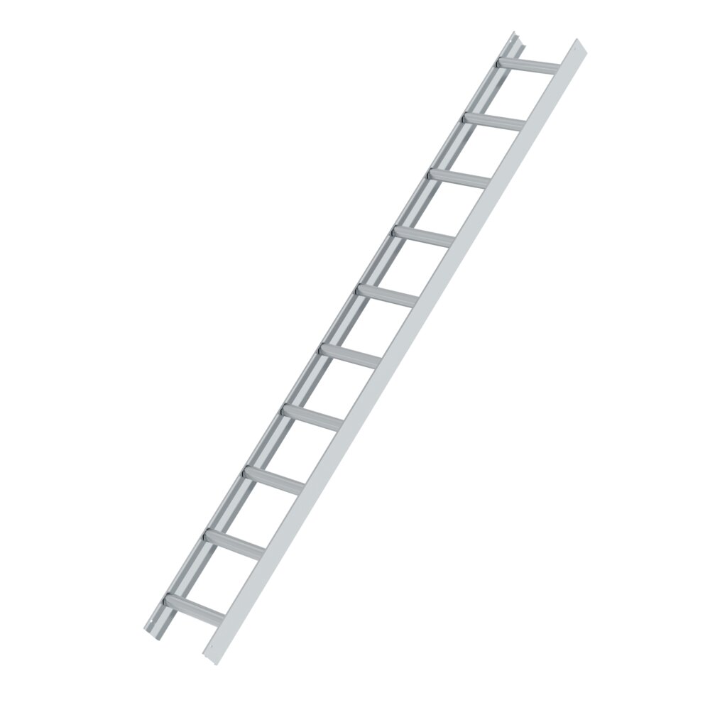 Munk dakladder, aluminium, natuurlijke afwerking, 10 sporten, van Günzburger Steigtechnik Munk bruine dakladder uit de categorie speciale ladders, professionele producten met artikelnummer 011113