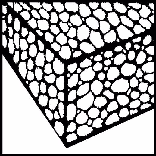 Reciprozaagblad PU300W 300 mm VE3 van PROJAHN uit het assortiment zaagbladen