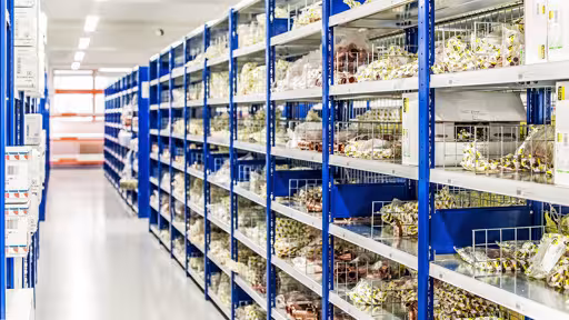 Productafbeelding nr. 11 van het artikel draadrooster, 600 x 140 mm (D x H), blank verzinkt voor MULTIplus150 planken Figuur nr. 11 van het artikel draadrooster, 600 x 140 mm (D x H), blank verzinkt voor MULTIplus150 planken uit de productgroep schappenplanken van Schulte Lagertechnik