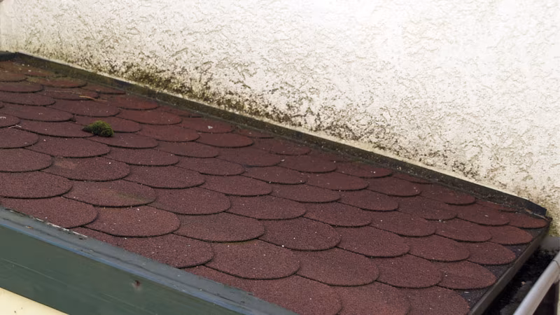 TecLine folieverwijderaar -concentraat- 5 l bus Architektur, Gebäude, Haus, Wohnen, Dach